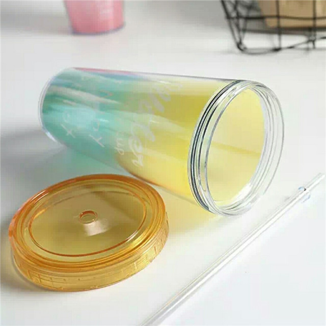 480ml Double Wall Insulated Freeze Cup Plastic Drinking Cups with Straws And Lids Buy Plastic